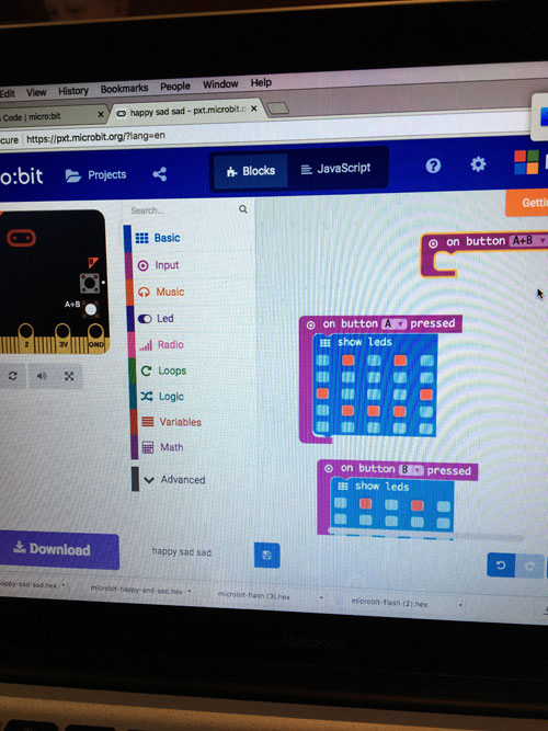 Coding with the microbic